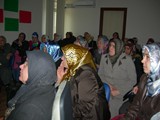 DSCN6937