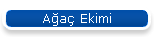 Aa Ekimi